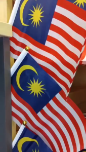 10Pcs Mini Handheld Flags ASEAN Countries Set Malaysia Singapore National Sports Event Decor