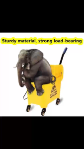 Heavy Duty Squeezer Bucket for Hospital Industrial hotel Premium Quality 36 L Cleaning Mop