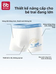 AIBEIDILA | Quần Sọt Bán Box cho Bé Trai Giai Đoạn Phát Triển