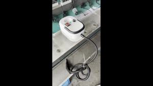 Compact Handheld Steam Cleaner: Pressurized High-Temperature Steam Machine withBrush Attachments for Kitchen and Car Detailing