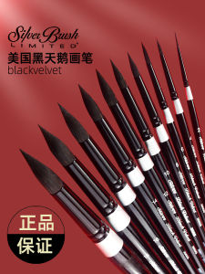 Black Velvet Watercolor Brushes round Tip Squirrel Hair Travel Outline Painting Pens Number 6 8 Art Specialized Business Supplies