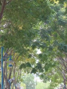 Toa Megaphone Pengeras Suara Bluetooth Megaphone Toa Amplifier Berkualitas Megaphone Speaker Corong Sirine