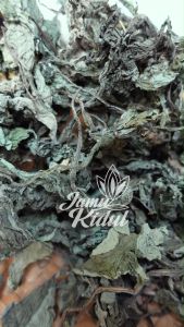 Daun Insulin Kering 500gr(Yakon) - Herbal Untuk Diabetes