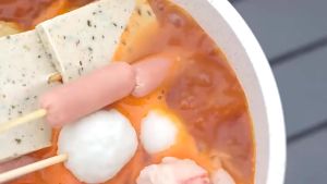 2670W Camping Cassette Stove: Portable Folding Outdoor Windproof Picnic Burner Outdoor Picnic Cooking