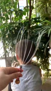 Cây Matxa Đầu Giảm Đau Đầu Giải Toả Stress