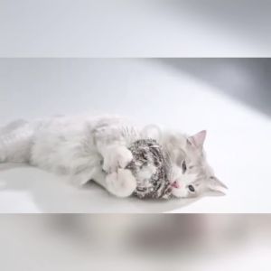 Đồ chơi cho mèo FOFOS Đồ chơi cảm biến tự động hình chim cú mèo & cánh cụt Tiếng chim hót Chứa catnip Lông nhung mềm mại