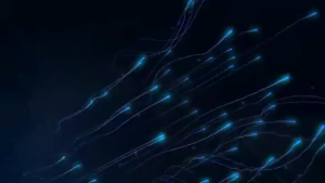 2024 Máy điều hòa không khí có thể đeo được quạt treo cổ Màn hình 3 tốc độ di động sạc USB Máy làm mát mùa hè ngoài trời không tiếng ồn