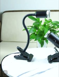 Clip On Basking Light for Reptile Turtle Lizard 25W/50W/75W UVA + UVB Full Spectrum Lamp 爬虫/乌龟专用灯（READY STOCK)