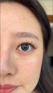 contact lenses - Kính áp tròng lens xám (0.00-8.00) lens Đen tây không viền màu Đen giãn vừa ( Lens sử dụng 12 tháng) độ tặng kèm khay lens nâu