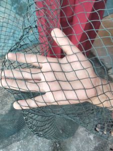 อวนเขียว ขนาด สูง 3เมตร ยาว 30 เมตร