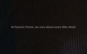 Natural Factors - Organic Cranberry Supplement Concentrate Super Strength  500mg (90 Softgels)