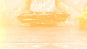 Set Keramik FIORENZA Seri Luxury Hitam Emas dengan Rak Stainless Chrome dan Tutup Kaca - Wadah Prasmanan 7 Pcs MH-988/GL