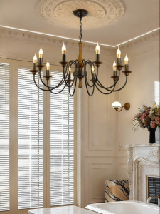DGY | French Vintage Chandelier