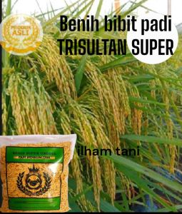 BENIH BIBIT PADI TRISULTAN 1KG