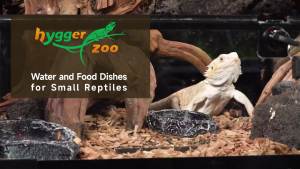 Reptile Water Dish Food Bowl for Bearded Dragon Tank Accessories Hygger zoo Reptile Rock Feeder for Reptile Tank 2 Pack Corner Resin Terrarium Bowl for Leopard Gecko Hermit Crab Tortoise Snake Black