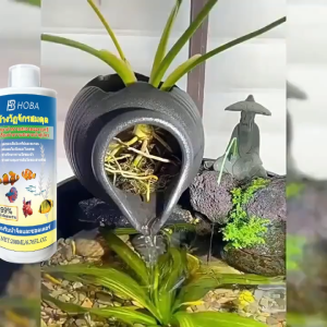 จุลินทรีย์ แบคทีเรีย บ่อปลา กำจัดสาหร่ายออกจากน้ำ สำหรับการดูแลบ่อปลา ปรับสภาพน้ำใส ลดความเครียดให้ปลา 450 ml