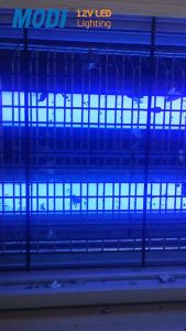 MODI 2023 The Best-Selling Electric Pest Killer 6W 8W 10W 12W UV Lamp Fly Insect Killer Hanging Mosquito Traps Killer