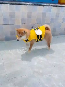 "Local Stock" Dog Life Jacket Dog Life Vest for Small Medium and Large Dogs Swimwear Pet Life Jacket Buoyancy Suit for Swimming Pet Apparel