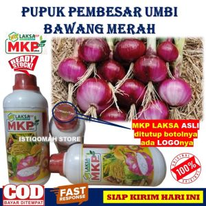 COD Bayar di Rumah MKP LAKSA Cair Plus 500ml Pupuk Pembesar Umbi Bawang Merah Terbaik yang Bagus dan Ampuh MURAH TERLARIS - Obat Alami Pembesar Umbi Bawang Merah Manjur