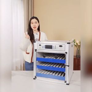 RAEDY STOCK 136Eggs 204Eggs Dual Electric Edition Incubator Machine Automatic Egg Incubator Chicken Quail Bird Egg Hatch 220V / 12V