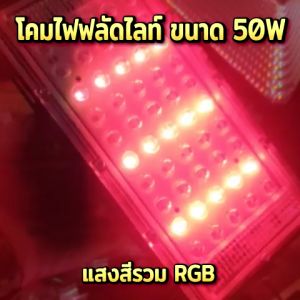 50W ส่องต้น เสียบปลั๊ก การผลิต การใช้งานไฟฟลัดไลท์ บ้าน คุณภาพเชื่อมฏโนม