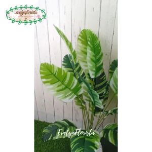 Pohon Artificial Pohon Plastik Musa Florida X18 Semi Latex Pot Dasar Hitam Tanaman Dekorasi Ruangan Furniture Minimalis Rumah