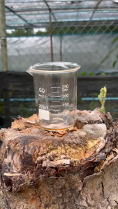 Baja Organik Cecair (Buah-buahan)