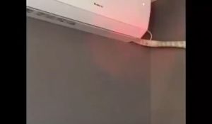 NASIUDUK KAMERA KEAMANAN hidden camera hidden camera detector kamera tersembunyi K053