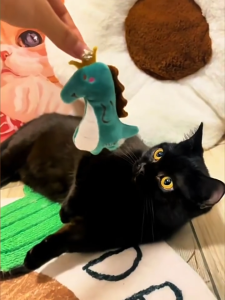 ของเล่น หมอนรองคอยาว คลิปแมว ตุ๊กตาตีนแมว ของเล่นแมว ของเล่นสัตว์เลี้ยง Catnip แคทมิ้นท์ ของเล่นแมว