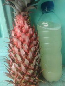 jual jus nanas merah muda100% asli pelancar head 600ml