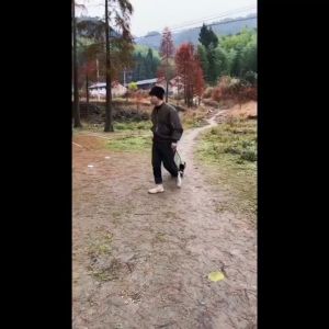 MOUNTAINHIKER Foldable Camping Push Cart Wagon Trolley Tool Truck Portable Shopping Cart Trolley