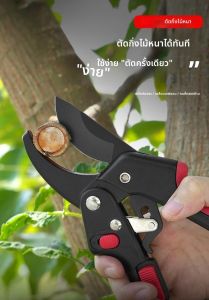 กรรไกรตัดแต่งกิ่งต้นไม้ผลไม้ข้ามพรมแดน เทฟลอน กรรไกรตัดแต่งดอกไม้ในครัวเรือนแบบปรับได้พร้อมมือกันลื่นเคลือบยางสีแดงและสีดำ