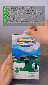 Daymilk Original paket 6 Box | susu kambing etawa daymilk atasi pernafasan dan persendian