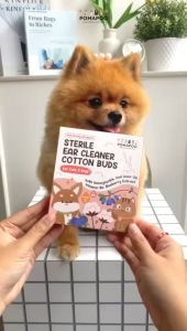 Sterile Ear Cleaner Cotton Buds - Pembersih Telinga Anjing Kucing POMAPOO Premium Berkualitas