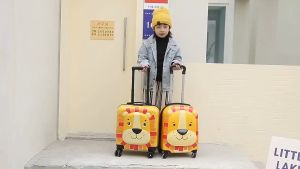 WD ขายสินค้าร้อน เคส 18 นิ้ว กระเป๋าเด็ด ล้อลาก ชุดคู่กระเป๋าเดินทาง เด็ก