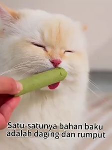 Cat Grass Teething Stick Snack Rumput Kucing 30 Gram vitamin kesehatan pembersih gigi dan menjaga kesehatan penernaan