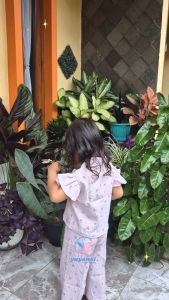 Setelan Anak Perempuan Crinkle Rose Purple Crop Top Motif Bunga Viral