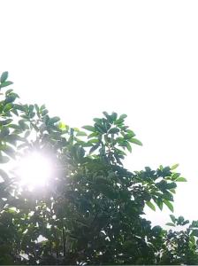 Rainproof and sunproof car cover waterproof Mobile garage Protect your car cover sun protection cover kereta waterproof car cover toyota vios suv car cover kereta penutup kereta protection cover 盖车布