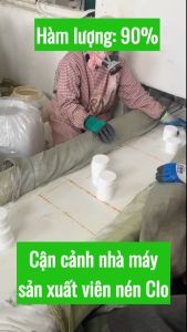 1Kg Viên Nén Clo TCCA 90 Khử Trùng Bể Bơi Loại Bỏ Rong Rêu Vi Khuẩn Cho Bể Bơi Và Thủy Sản