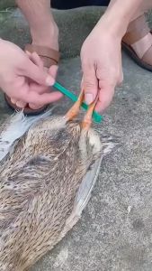 100 Reusable Cable Ties Cable Lock Loop Nylon Ties Removable Recyclable Mixed Colours Black White