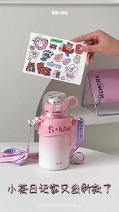 Aesthetic Insulated Stainless Steel Water Bottle for Kids and Students