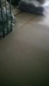 Váy Dệt Kim Xẻ Tà Dáng Dài Vừa Váy Ôm Hông Váy Một Bước Váy Dài Cạp Cao Mùa Xuân Váy Len Nữ Dày Dặn