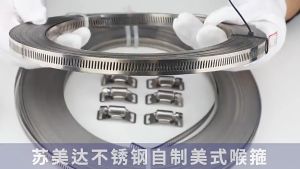 MD MOHS DIAGNOSTICS 304 Stainless Steel Worm Clamp Hose Clamp Strap with Fasteners Adjustable DIY Pipe Hose Clamp Ducting Clamp 11.5 Feet