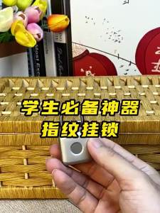 elinksmart | Outdoor Waterproof Fingerprint Lock Small Door Lock