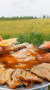 1kg KHÔ CÁ LÓC ĐẶC SẢN đậm đà hấp dẫn từ cá lóc tươi ngon tẩm ướp các loại gia vị truyền thốngphơi khô tự nhiên- ĐẶC SẢN MINH TRIẾT