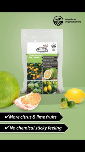 Baba Mr Ganick Citrus & Lime Fertilizer (400gm) / Organic / Baja Organik / Sitrus / Limau