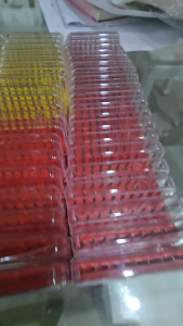 Resto Kit Diamond Burs 10pcs.