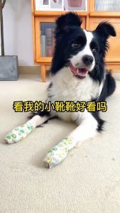 KP ลูกสุนัขสัตว์เลี้ยงออกไปป้องกันสิ่งสกปรก เทปสนับขรว ผ้าพันแผลแบบมีกาวในตัว เดินเล่นสุนัขด้วยผ้าพันแผลป้องกัน