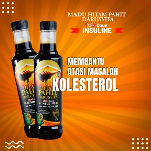 Paket 2 Botol Madu Hitam Pahit Darusyifa Plus Daun Insulin 470gr Obat Kolestrol Darah Tinggi Dan Asam Urat