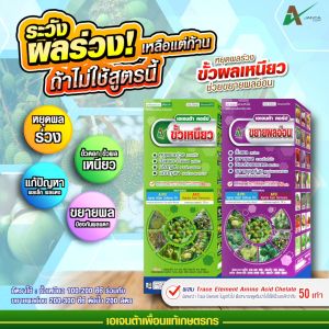 ชุดขยายผลอ่อน ขั้วเหนียว มะม่วง เอเจนต้า คอร์ป ขั้วผลเหนียว ลดผลร่วง ป้องกันผลแตก (แพ็กคู่ 1 ลิตร)